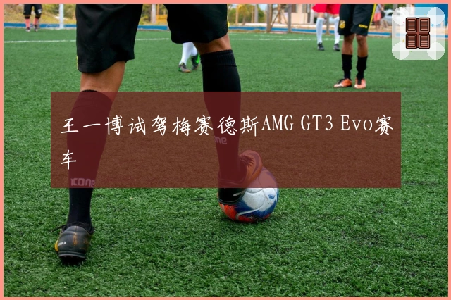 王一博试驾梅赛德斯AMG GT3 Evo赛车